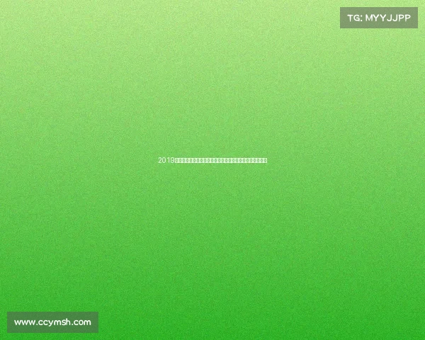 2019赛季山东鲁能泰山足球俱乐部激情拼搏赛事精彩瞬间全纪录